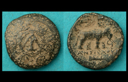 Seleucid, Antiochos I, Elephant Reverse